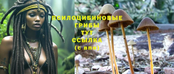 винт Заволжье